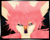 Zeger Hair1
