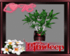 (H) LOVE Plant Decor
