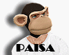 P. Monkey Man