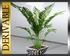3N:DER:Plant 10