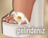 [P] Romantic wedges