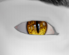 M Cat Hybrid Eye Yellow