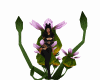 anomalous flower
