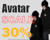 Scaler 30% Avatar