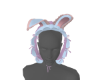 CUTE BUNNY