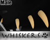 Whiskers :Demonik Tusk M