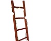 LT-Decorative ladder