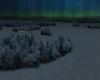 Northern Lights Winter