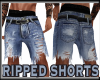 Ripped Shorts