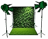 Photo Shoot Greenery