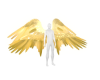 God Wings