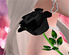 Rose Black