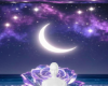 Moonlight rose backgroun