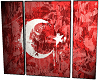 Canvas Turkish Flag