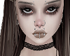 ⋆ Madison ⋆