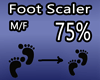 Scaler Foot -Pie 75% M/F