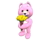 Pink Teddy Yellow Roses