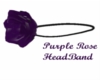 Purple HeadBand