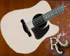 Acoustic guitar w Sounds