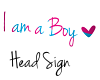 MZ* I am a boy Sign