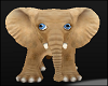 Baby Elephant Animals Jungle Male Outfits
