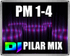PILAR MIX PURPLE DJ