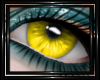 !T! Eyes | Vionette Y
