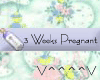 3 Weeks Pregnant (B)