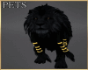 black lion