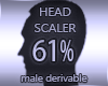 Head Resizer 61%