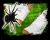 Supra Shoes DEV