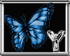 [Y] Butterflies Blues