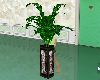 Green fern and planter