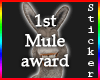 Mule Award 1st