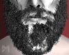 [M] Hoest Beard 2