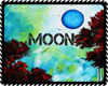 16 Moon Backgrounds