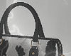 ZXI I Handbag