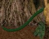 Green Leopard tail