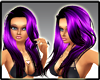 Bashia's Purple Hair