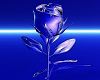 [LCVJ] Blue Love Rose