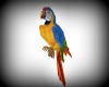 SW] Pirate Talk Parrot
