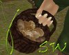 SW~ Basket of Mushrooms