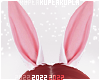 $K Pink Bunny Ears