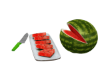 MELON FOOD