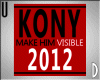 UD KONY2012