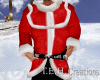Red Santa Jacket
