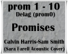 Promises/Calvin Harris