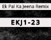 Ek Pal Ka Jeena Remix