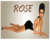 Rose-Picture-5