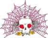 Skull with pink web